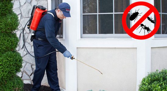 Horasan Kemirgen İlaçlama böcek ilaçlama ve haşere kontrolü — ilaclama-tr.com